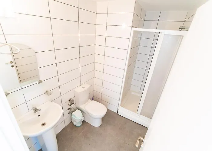 Cozy Sel B5 ラピソス